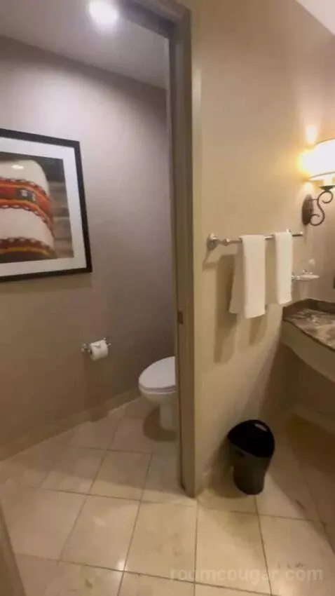 Deluxe King Room bathroom picture #3
