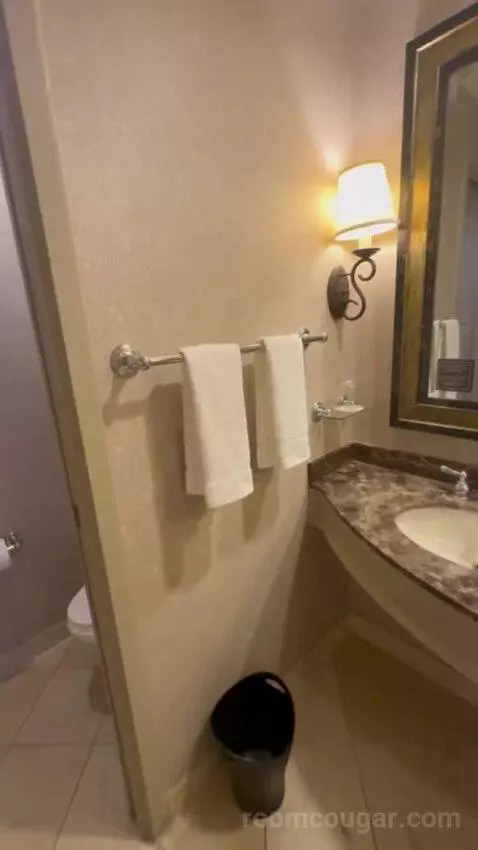 Deluxe King Room bathroom picture #4