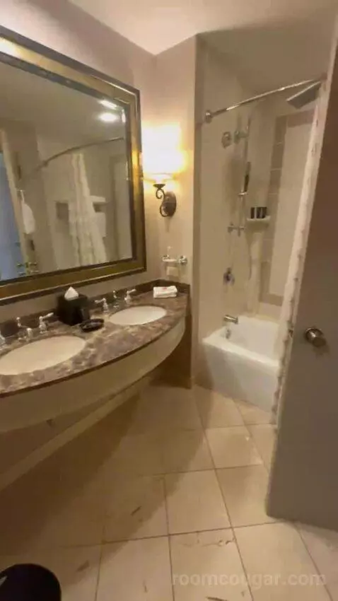 Deluxe King Room bathroom picture #6