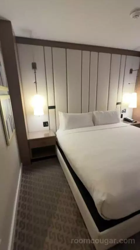 Deluxe King Room bed picture #1