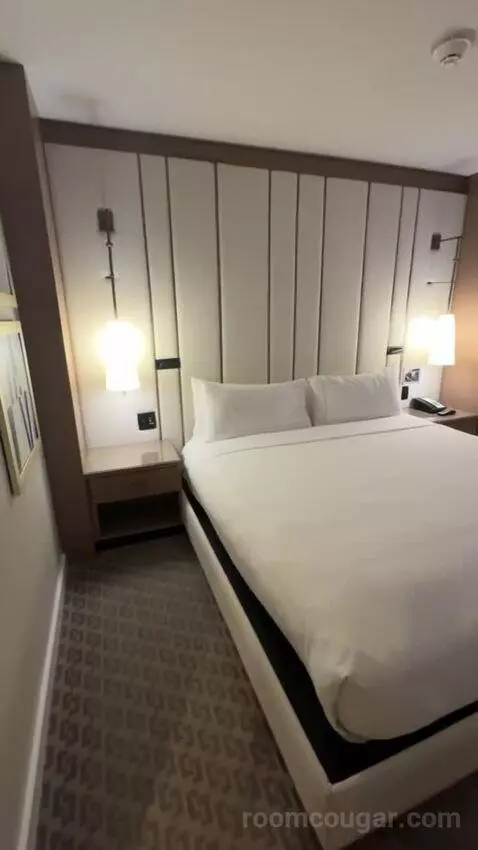 Deluxe King Room bed picture #2