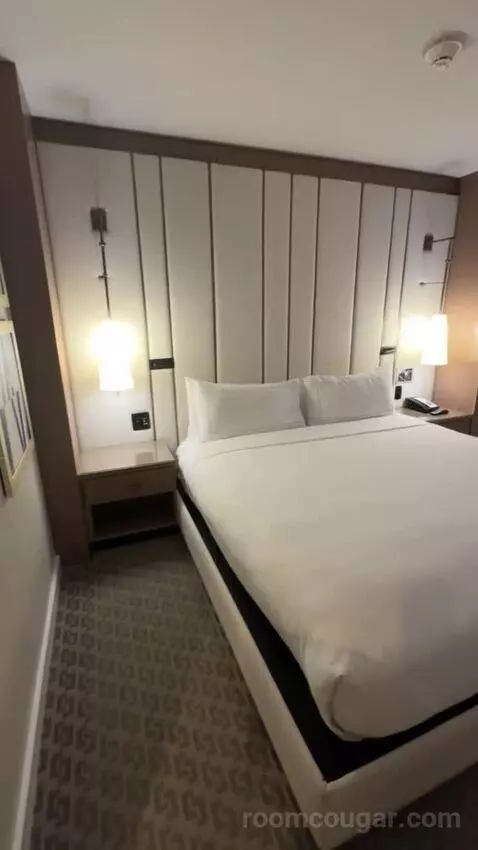 Deluxe King Room bed picture #3