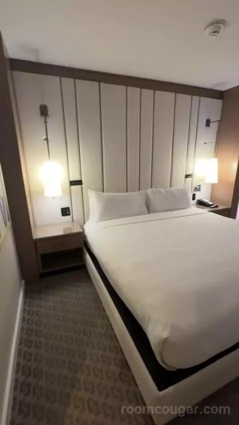 Deluxe King Room bed picture #4