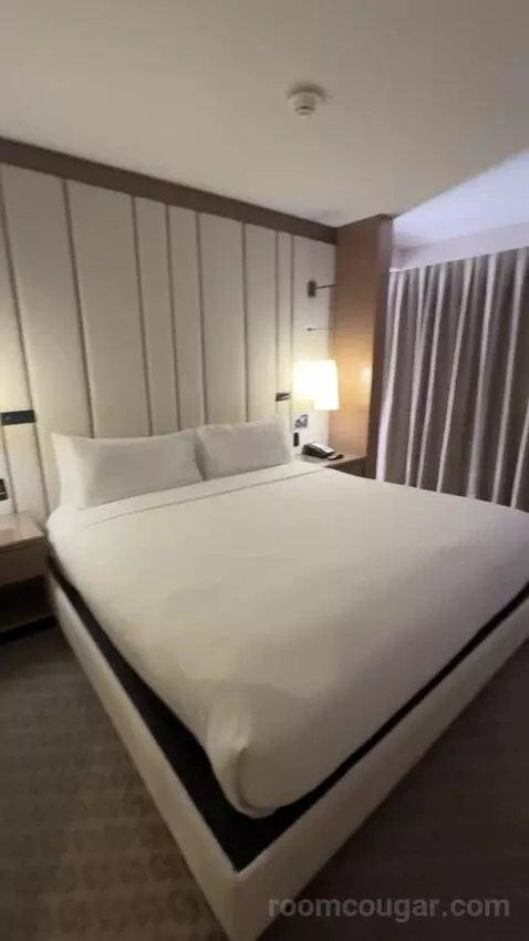 Deluxe King Room bed picture #5