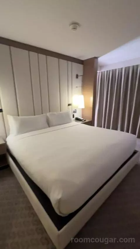 Deluxe King Room bed picture #6