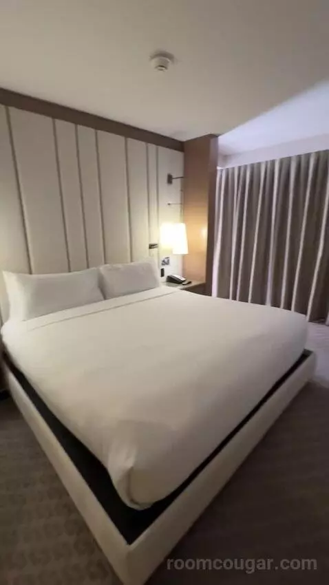 Deluxe King Room bed picture #7
