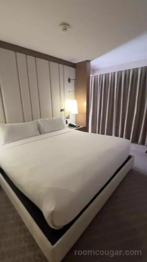 Deluxe King Room bed picture #8