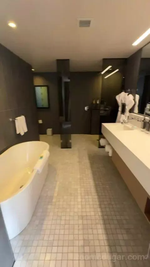 Deluxe King Room bathroom picture #4