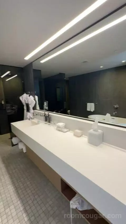 Deluxe King Room bathroom picture #5