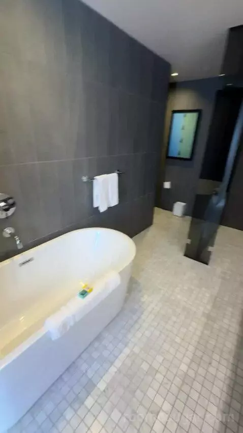 Deluxe King Room bathroom picture #7