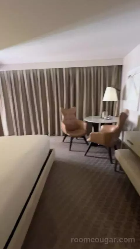 Deluxe King Room bed picture #9