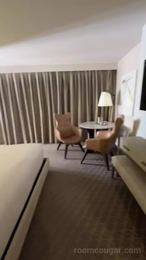 Deluxe King Room bed picture #10