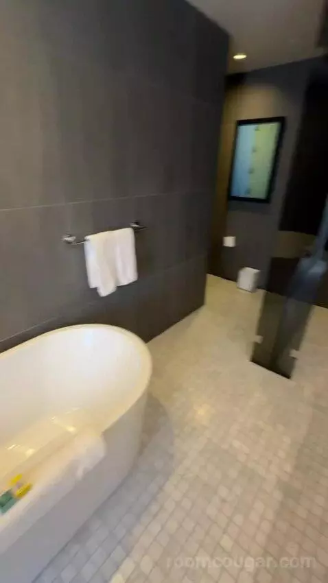 Deluxe King Room bathroom picture #8