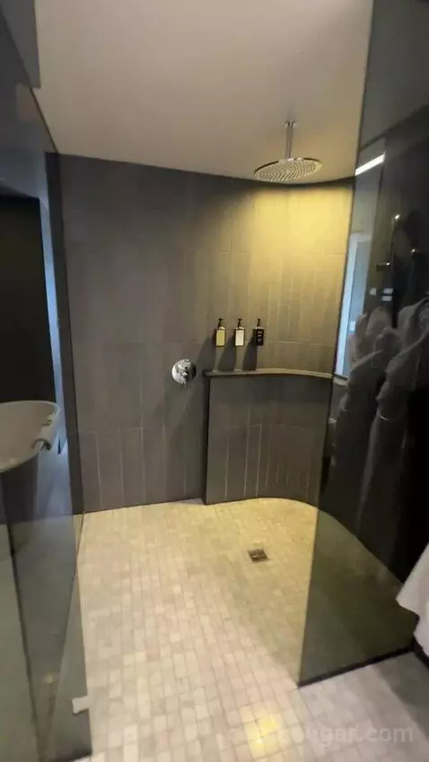 Deluxe King Room bathroom picture #9