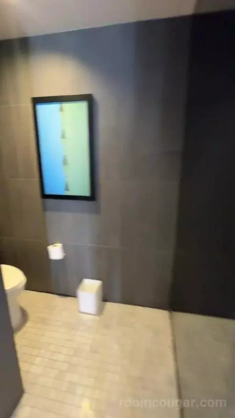 Deluxe King Room bathroom picture #10