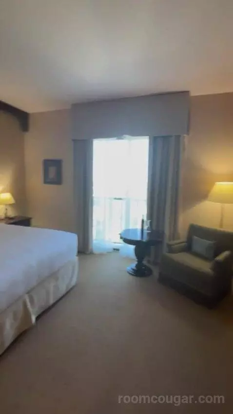 Deluxe King Room bed picture #6