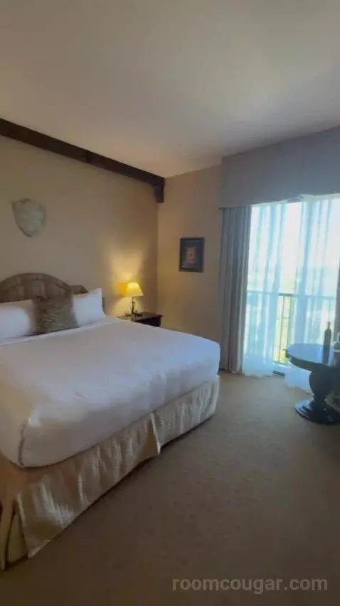 Deluxe King Room bed picture #7