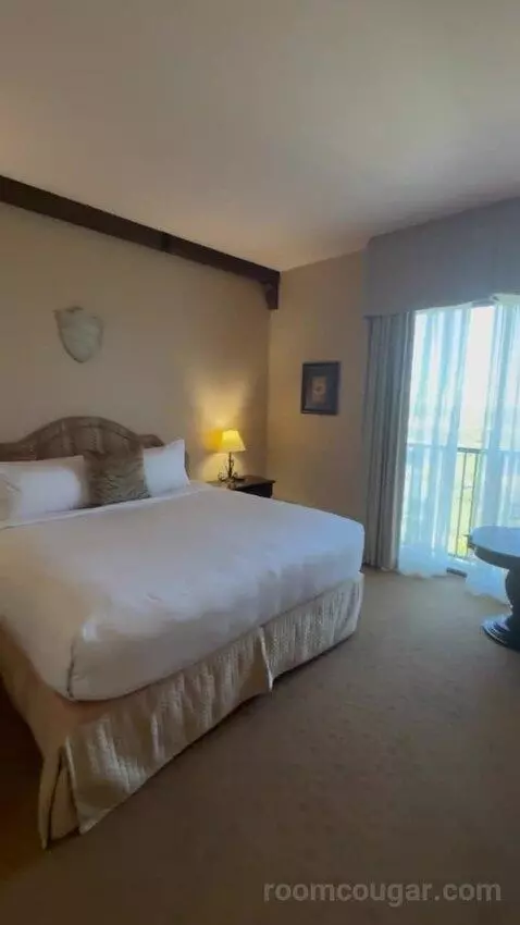 Deluxe King Room bed picture #8