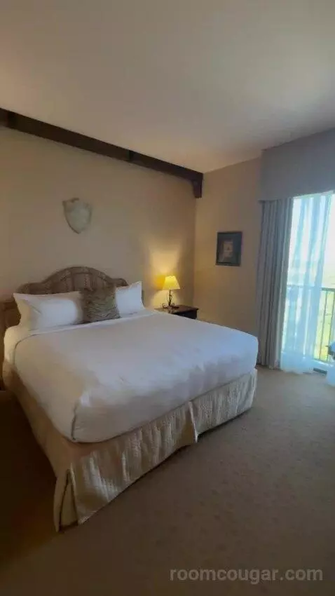 Deluxe King Room bed picture #9