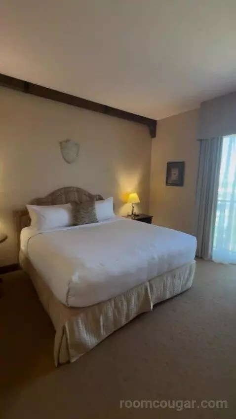Deluxe King Room bed picture #10