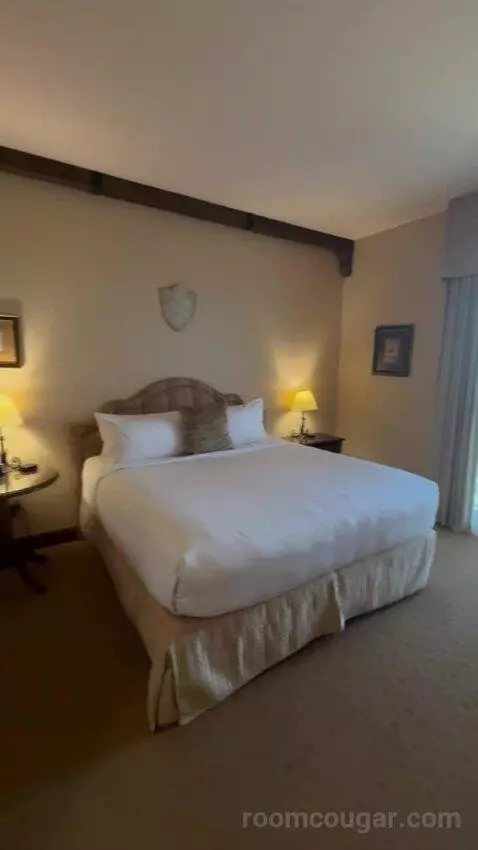 Deluxe King Room bed picture #11