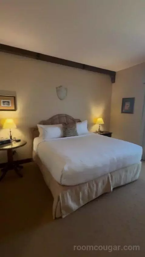 Deluxe King Room bed picture #12