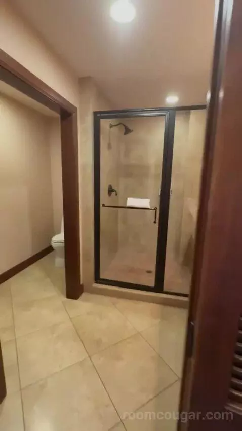 Deluxe King Room bathroom picture #1