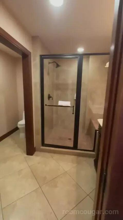 Deluxe King Room bathroom picture #2
