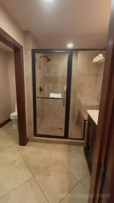 Deluxe King Room bathroom picture #3