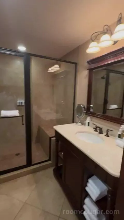 Deluxe King Room bathroom picture #4