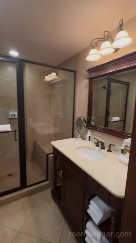 Deluxe King Room bathroom picture #5