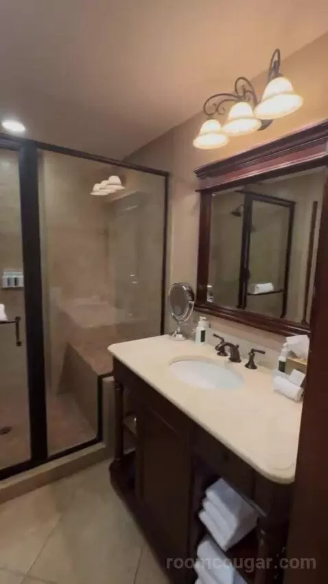 Deluxe King Room bathroom picture #6
