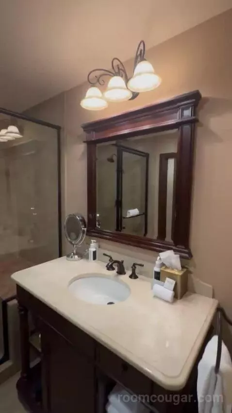 Deluxe King Room bathroom picture #7