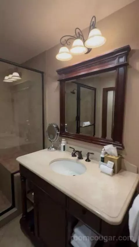 Deluxe King Room bathroom picture #9