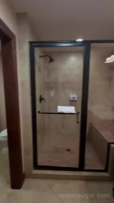 Deluxe King Room bathroom picture #10