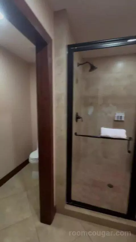Deluxe King Room bathroom picture #12