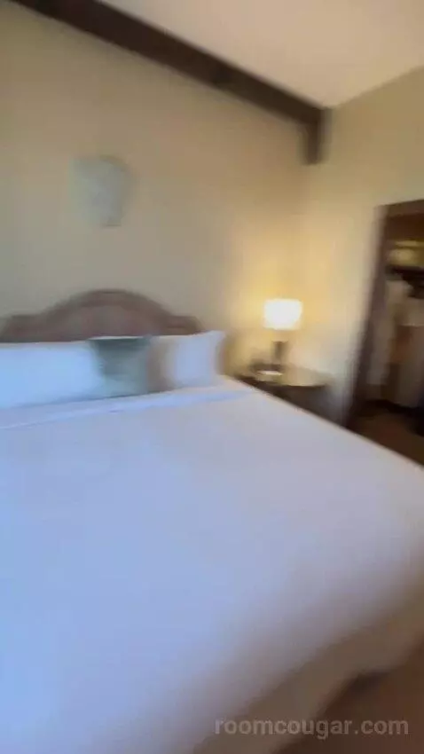 Robin Suite bed picture #8