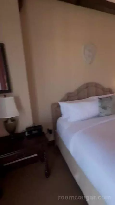 Robin Suite bed picture #9