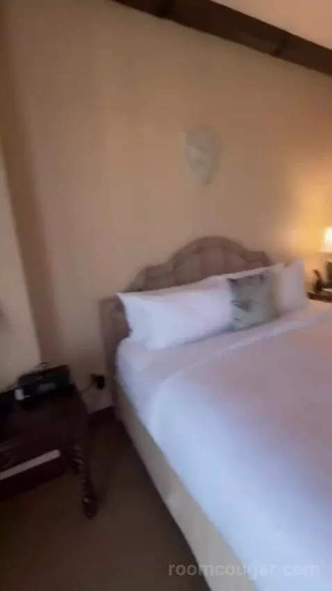 Robin Suite bed picture #10