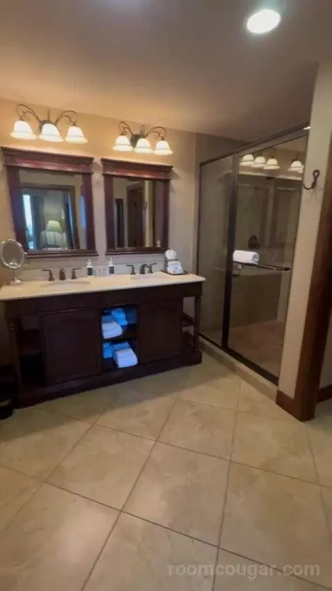Robin Suite bathroom picture #3