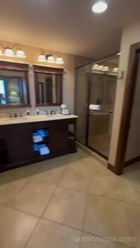 Robin Suite bathroom picture #4