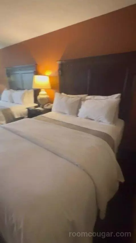 Standard Double bed picture #6
