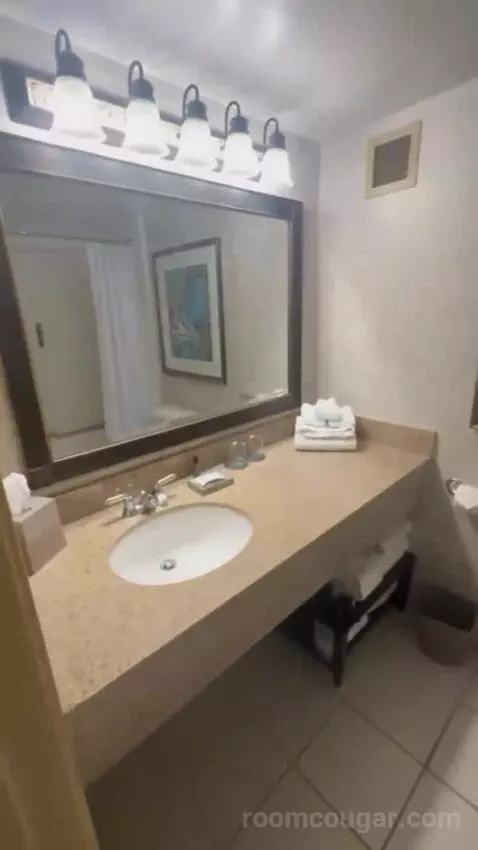 Standard Double bathroom picture #3