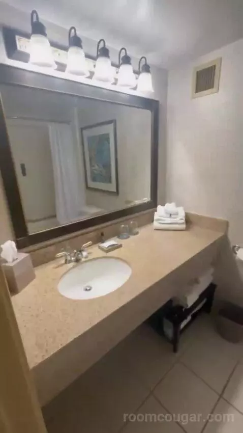 Standard Double bathroom picture #4