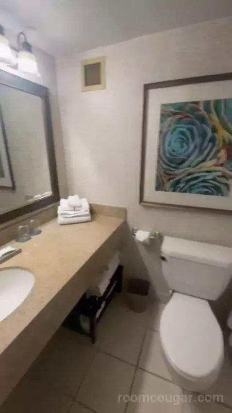 Standard Double bathroom picture #5