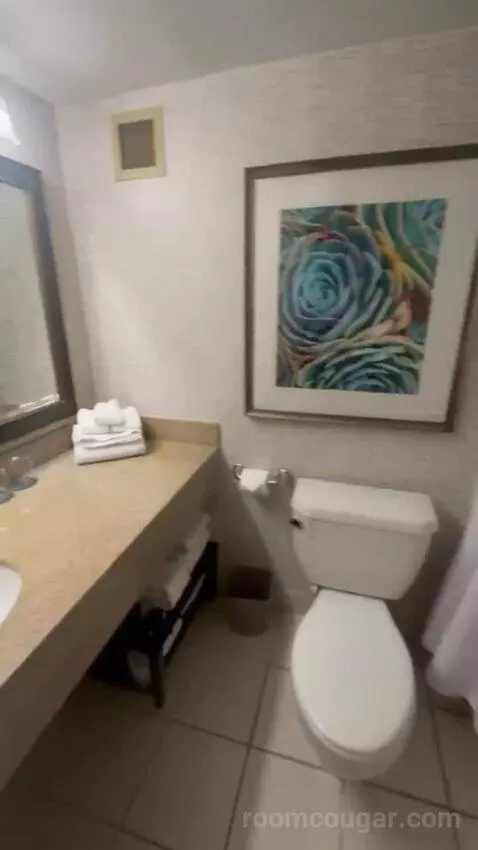 Standard Double bathroom picture #6