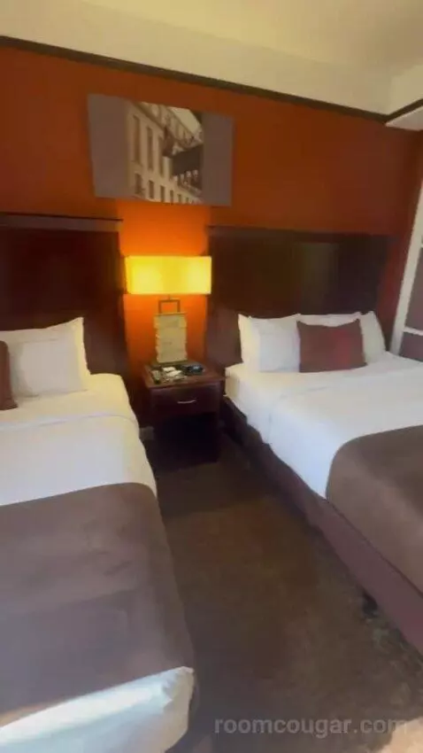 Double Room with Two Double Beds bed picture #5