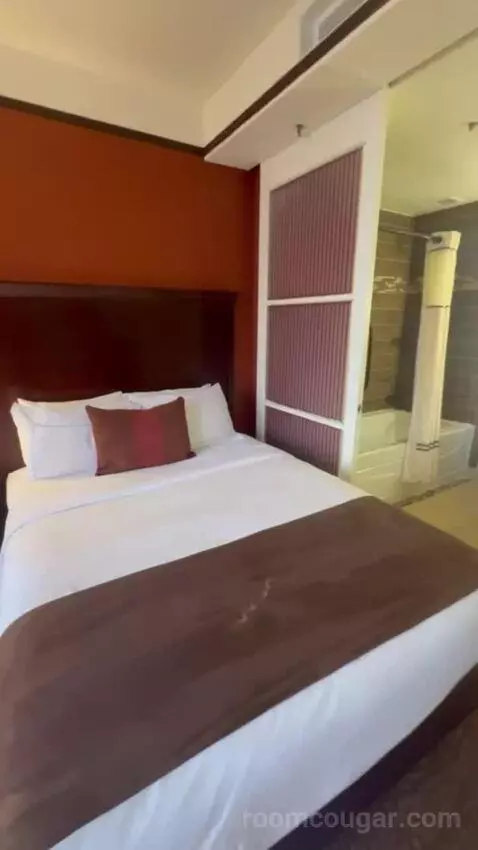 Double Room with Two Double Beds bed picture #7