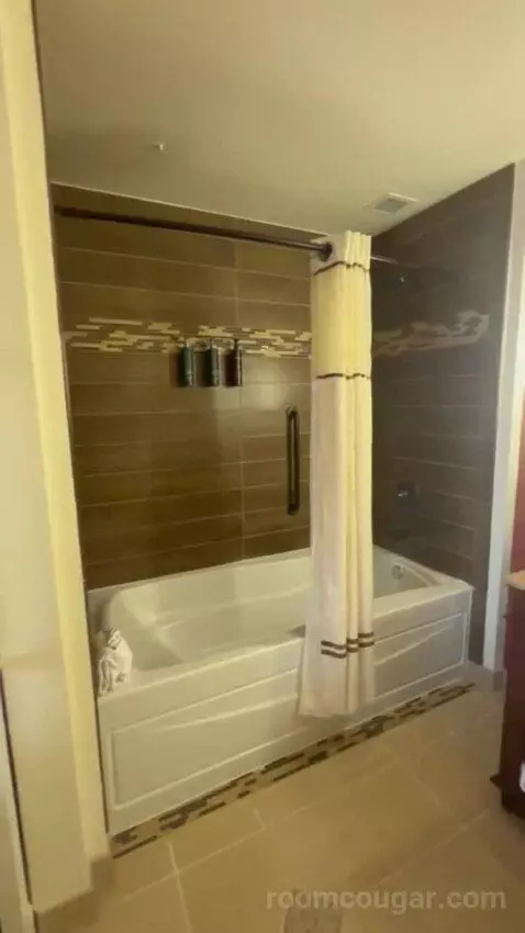 Double Room with Two Double Beds bathroom picture #1