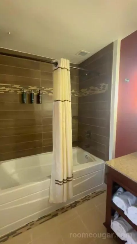 Double Room with Two Double Beds bathroom picture #3